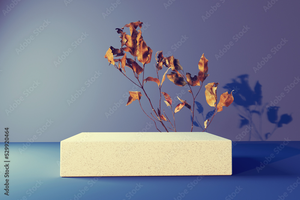 Poster autumn leaves with a rectangular podium - 3d render