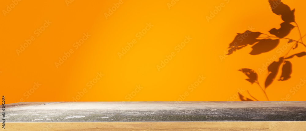 Poster shadow of three leaves with a concrete table - 3d render