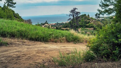 Dirt road on a hill with bushes on both sides © Paya/Wirestock Creators