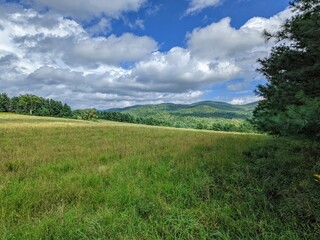 Meadow and sky