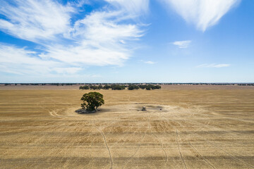 Looking down on a barren land with sheep huddled in the only shade available.
