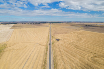 Looking down on a dirt road in a country setting in the early morning sunlight