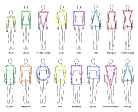 Set of Women and Men body shapes types: apple, pear, inverted triangle, rectangle, column, trapezium, circle, oval, square, brick, hourglass, round, petite. Male and Female Vector illustration