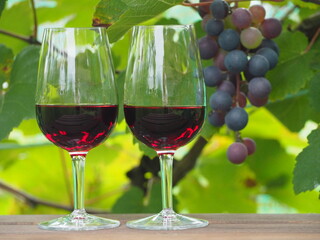 ワイン葡萄と赤ワイン