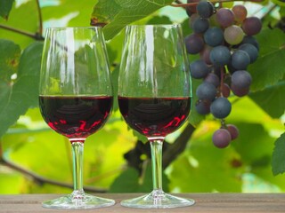 ワイン葡萄と赤ワイン