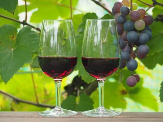 ワイン葡萄と赤ワイン