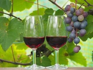ワイン葡萄と赤ワイン