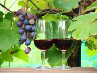 ワイン葡萄と赤ワイン