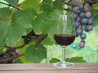 ワイン葡萄と赤ワイン