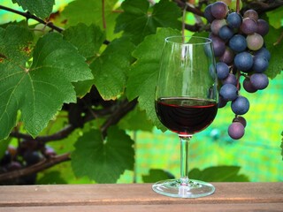 ワイン葡萄と赤ワイン