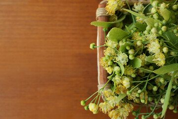 Beautiful linden blossoms and green leaves in wicker basket on wooden table, top view. Space for text