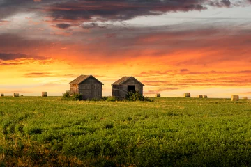 Foto op Plexiglas A pair of old barns on a wheat field with round hay bales at sunrise on the Canadian prairies in Rocky View County Alberta © Ramon Cliff