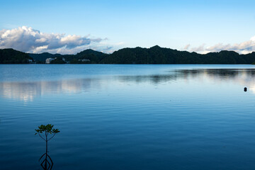 morning in Palau. Magrove and sea.