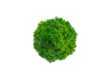 green ball