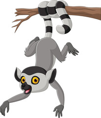 Cartoon cute lemur hanging on tree branch © tigatelu