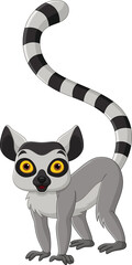 Cartoon cute lemur on white background - obrazy, fototapety, plakaty