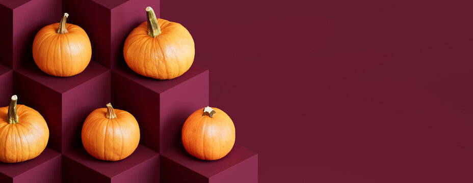 Pumpkins on Burgundy Colored Blocks. Autumn themed Background with copy-space.