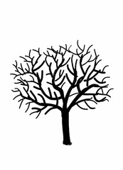 Obraz premium Leafless black tree with white background 