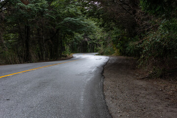 Caminhos por Bariloche