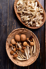 Fresh edible mushroom in basket on wooden background, Table top view