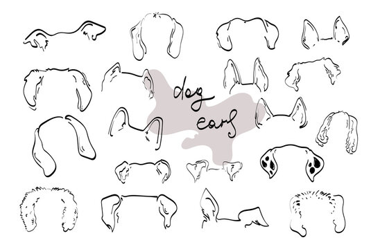 vector doodle dog ears set