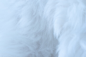 beautiful fluffy white fur background texture