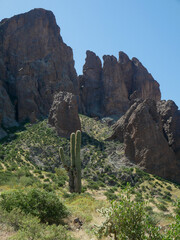 Cacti and Mountain