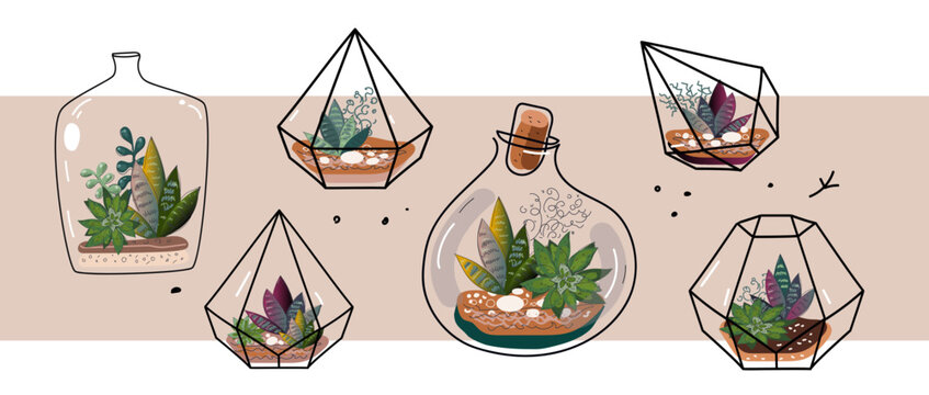 Set Of  Terrarium Flowers Vector Doodle