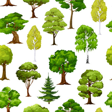 Cartoon forest and garden green trees, seamless pattern background, vector. Park nature landscape with pine and fir trees wood, leaves of birch, maple and oak, summer woodlands plants pattern