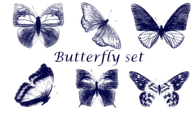 Set of butterflies drawn with a blue pen isolated on a white