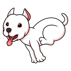 Cute dogo argentino dog cartoon running