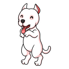 Cute dogo argentino dog cartoon 