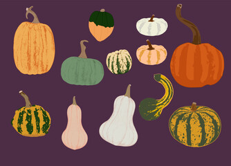 Collection of Fall Gourds & Pumpkins