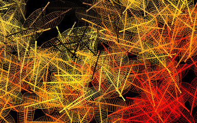 Dark Red vector natural backdrop with flowers, leaves.