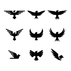 Obraz premium set of eagle logos silhouette designs isolated on white background