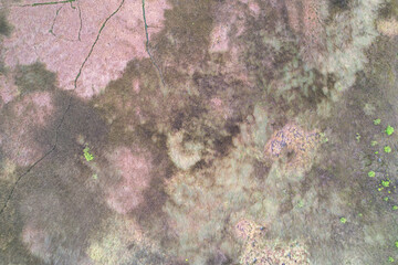 Pattern in the marsh of the intracoastal waterway at Jacksonville Beach Florida 4