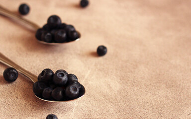 fresh blueberries in a metal spoon on a gray background