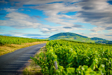 Mont Brouilly mountain and vineyards of Beaujolais during a sunny day