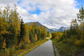 Naklejka premium Autumn colors along Alaska's Seward Highway bike trail.