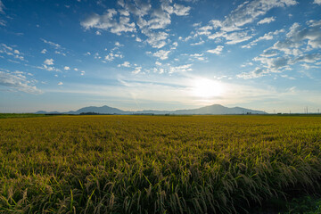 稲穂と山と青空