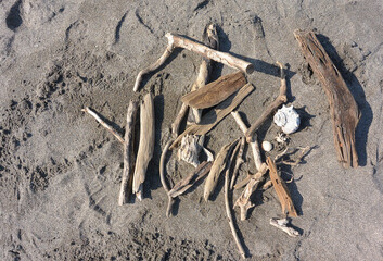 Collecting driftwood on the beach
