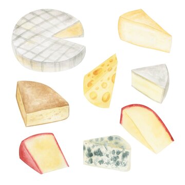 Watercolor cheese illustration set. Food clipart collection