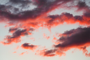 Vivid orange sunset against blue sky. Beautiful landscape of the amazing autumn sunsets. Color of nature. Great for background and mindfulness concept photo.