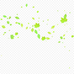 Obraz premium Leaves Falling Spring Flying Foliage Green Leaf