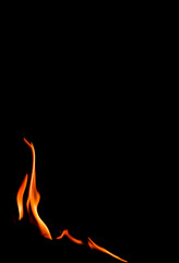 Fire flame isolated on black background. Space for copy