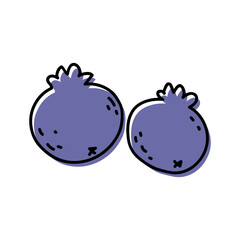 Blueberry Fruit Outline Illustrations