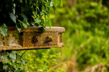 Closeup shot of a rusty metal pole of a demolished bridge taken over by nature with blur background