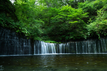 滝 渓流 長野 清流 白糸の滝