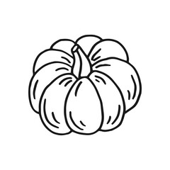 Pumpkin. Hand drawn vector illustration in doodle style. Black and white image of vegetables.