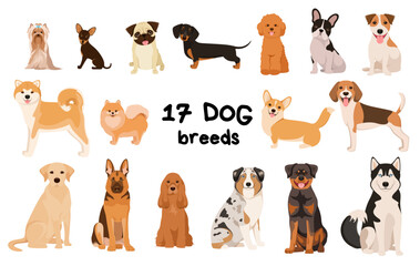 A set of purebred dogs on a white background. Cartoon design.
